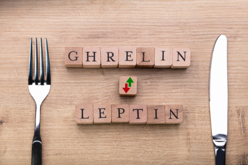 Quand les hormones dictent notre faim : comprendre l’influence hormonale sur l’appétit