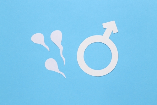 Comment les hormones masculines influencent-elles la fertilité ?