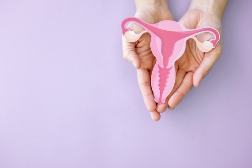 Frottis vaginal et menstruation : une pratique possible pendant les règles légères ?