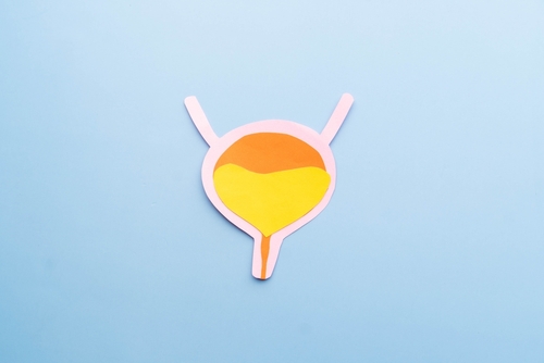 Conseils pour éviter l’incontinence urinaire