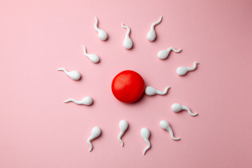 Peut-on tomber enceinte pendant les règles ?