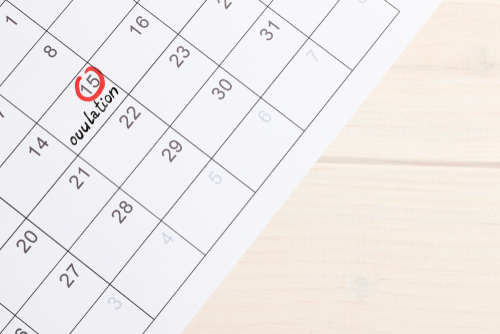 Cycles menstruels sans ovulation : causes et implications