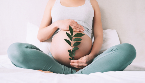Grossesse : comprendre les transformations corporelles