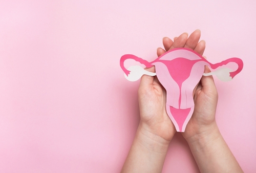 Les kystes ovariens et le SOPK : comment faire la distinction ?