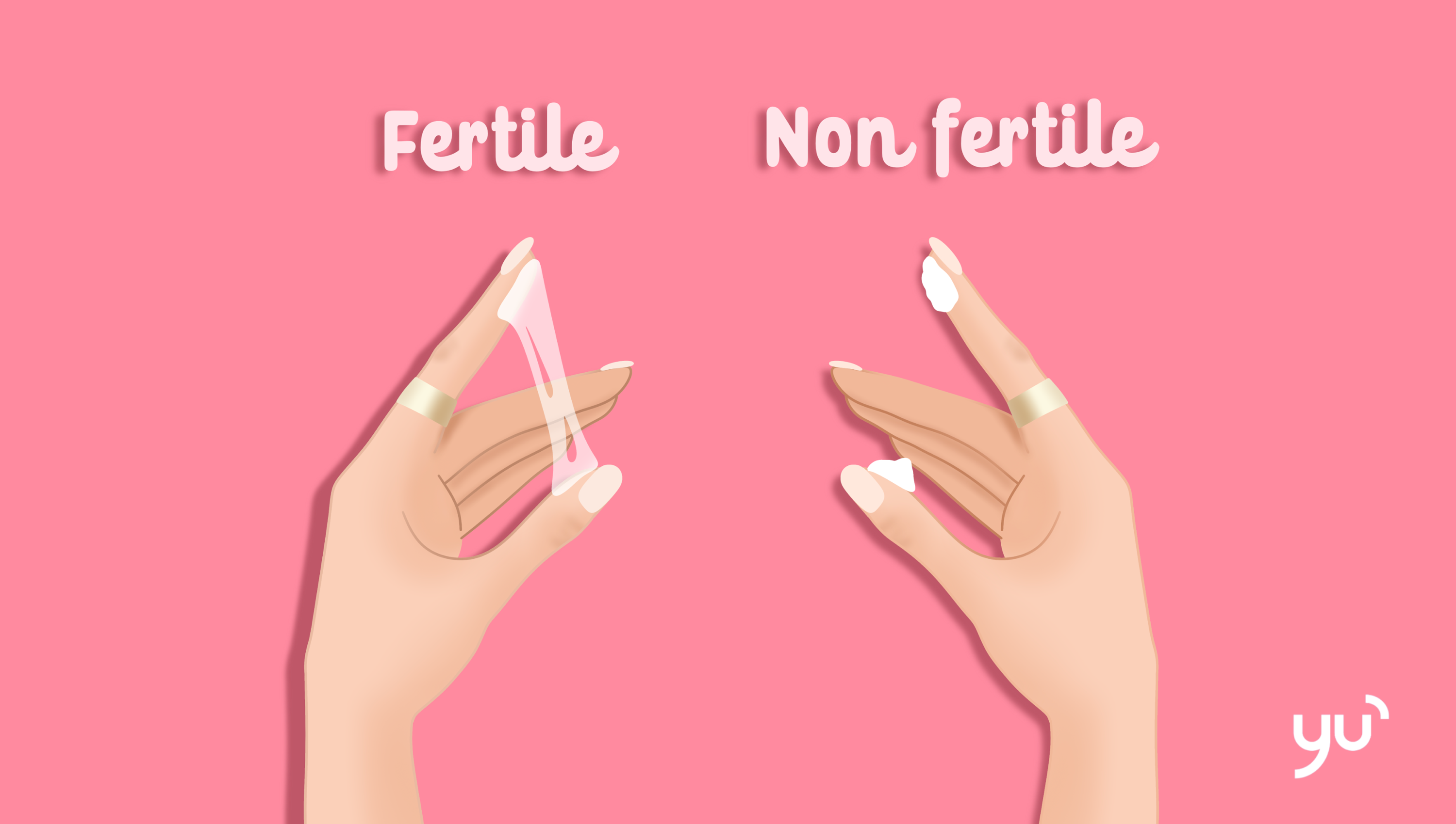 Comprendre l’ovulation à travers les pertes vaginales