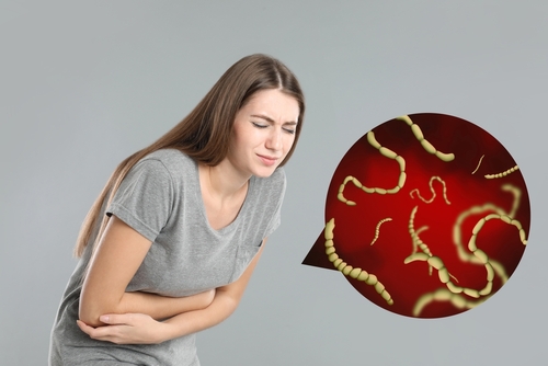 Les vers parasites peuvent-ils infecter les organes reproducteurs ?