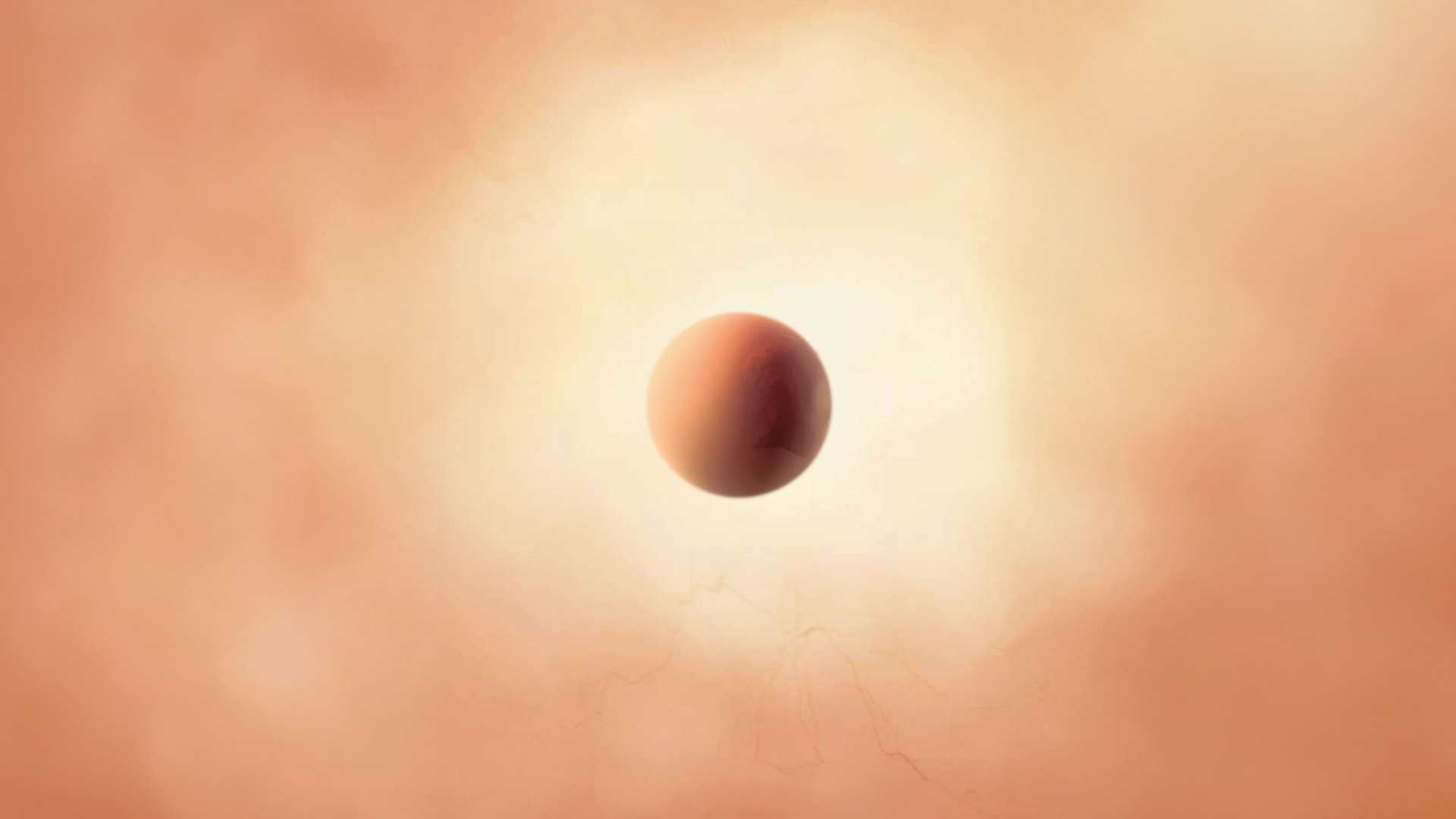 Semaine 1 d’aménorrhée : le point de départ du cycle menstruel