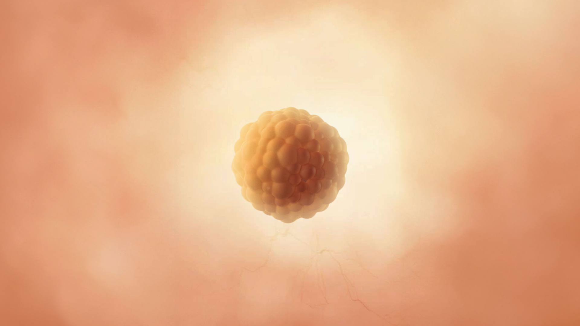Semaine 3 d’aménorrhée : conception et début de grossesse