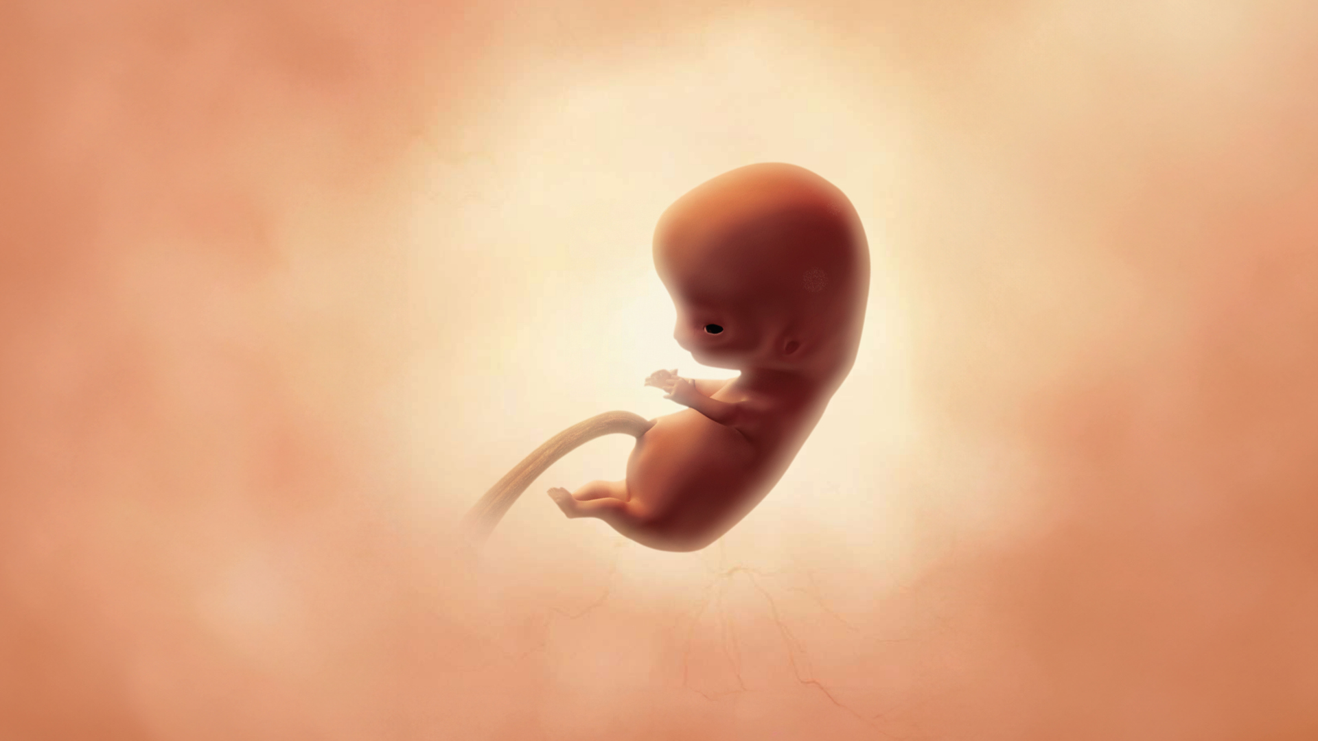 Semaine 9 d’aménorrhée : évolution fœtale et adaptations maternelles