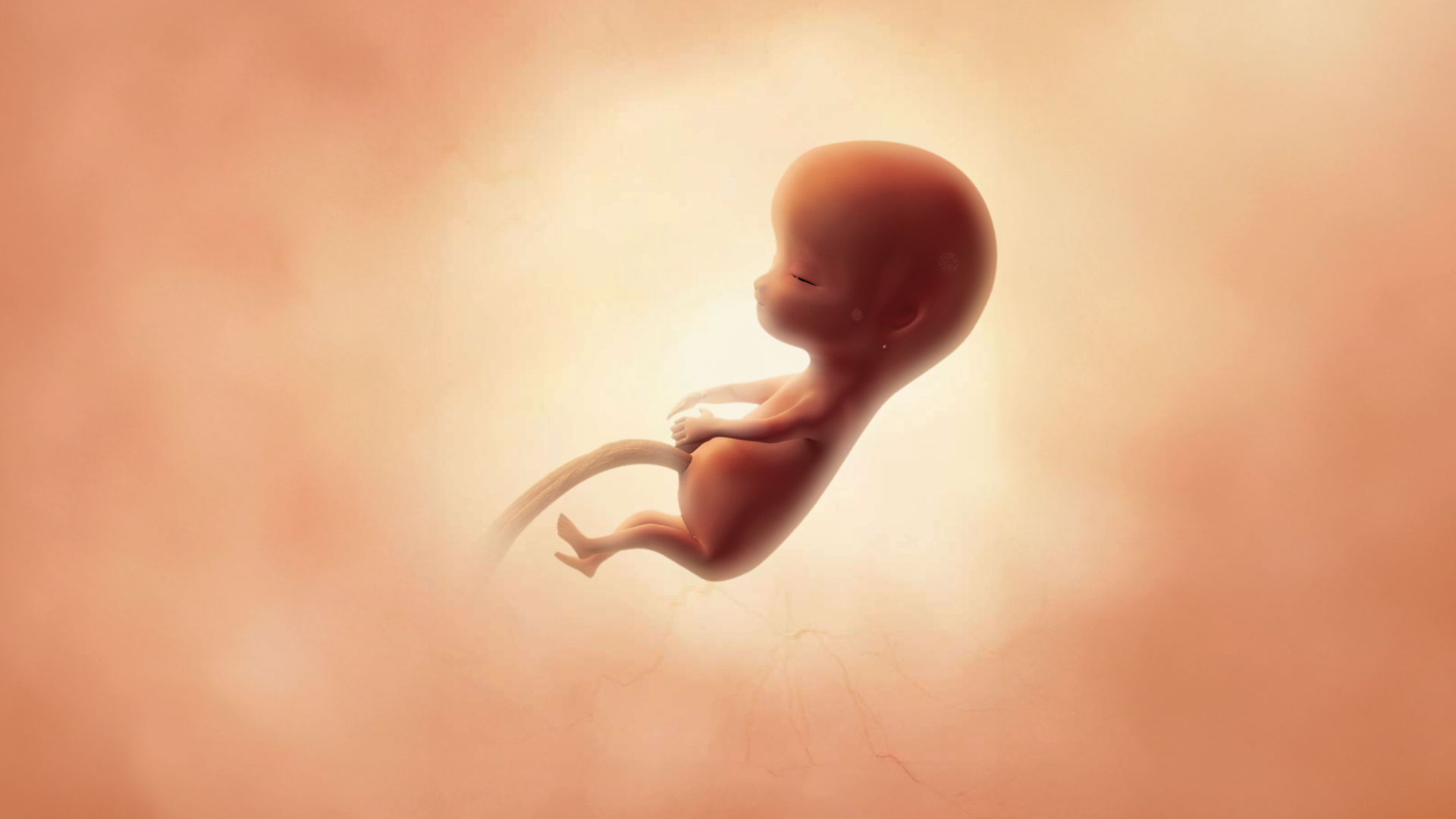 Semaine 12 d’aménorrhée : une étape importante de la grossesse