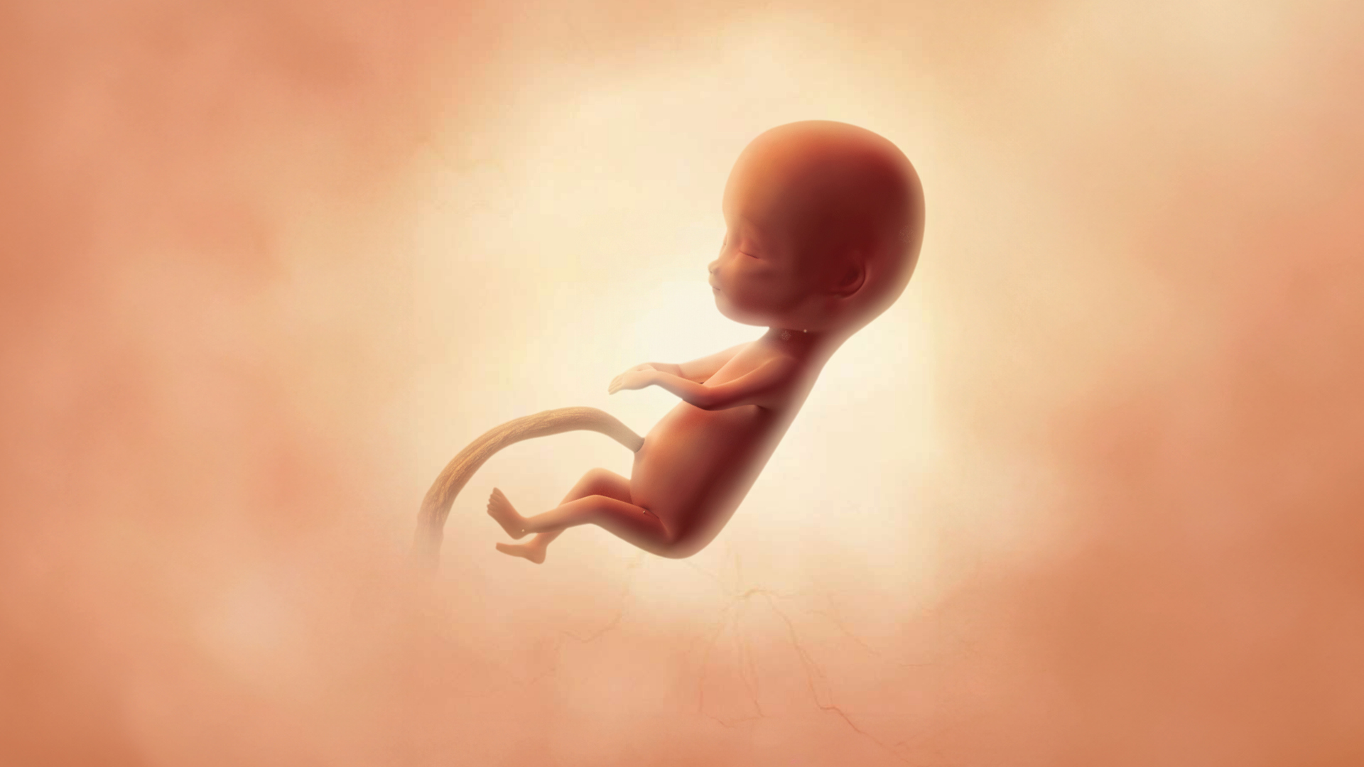 Semaine 14 d’aménorrhée : bienvenue dans le deuxième trimestre