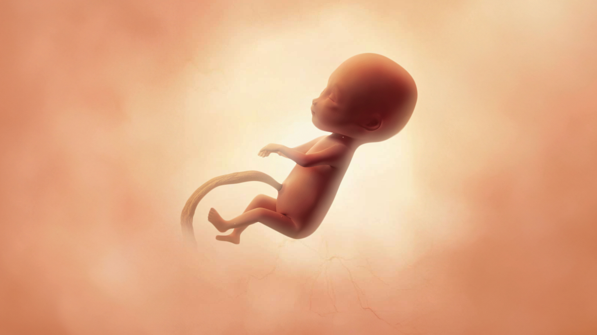 Semaine 17 d’aménorrhée : progression et adaptations