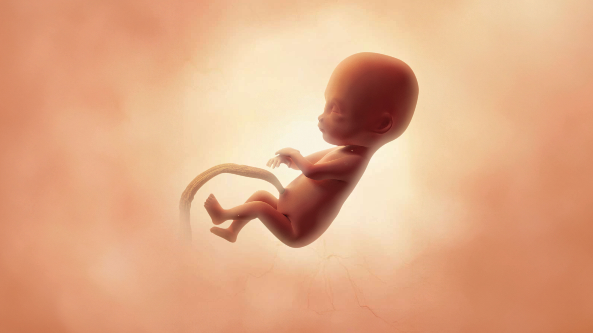 Semaine 22 d’aménorrhée : progression, adaptations et astuces
