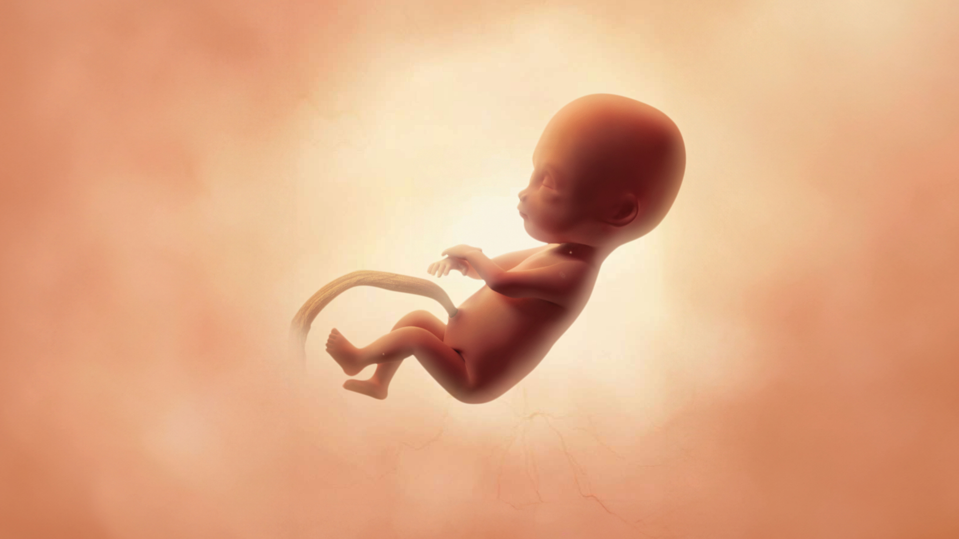 Semaine 23 d’aménorrhée : évolution, adaptations et recommandations
