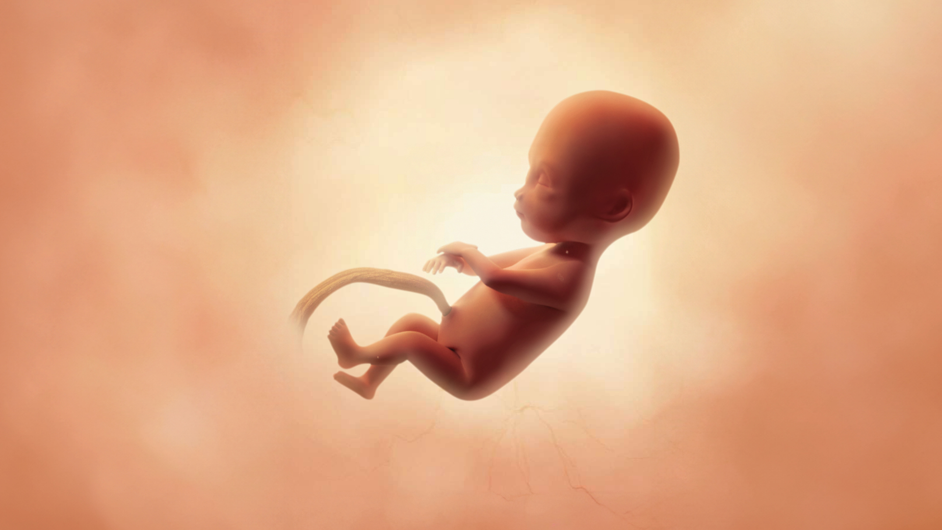 Semaine 24 d’aménorrhée : progression, changements et conseils