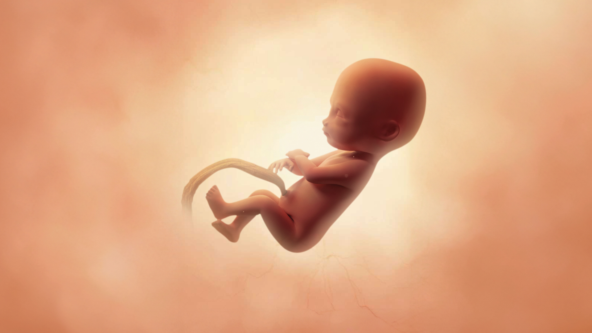 Semaine 25 d’aménorrhée : évolution, adaptation et recommandations