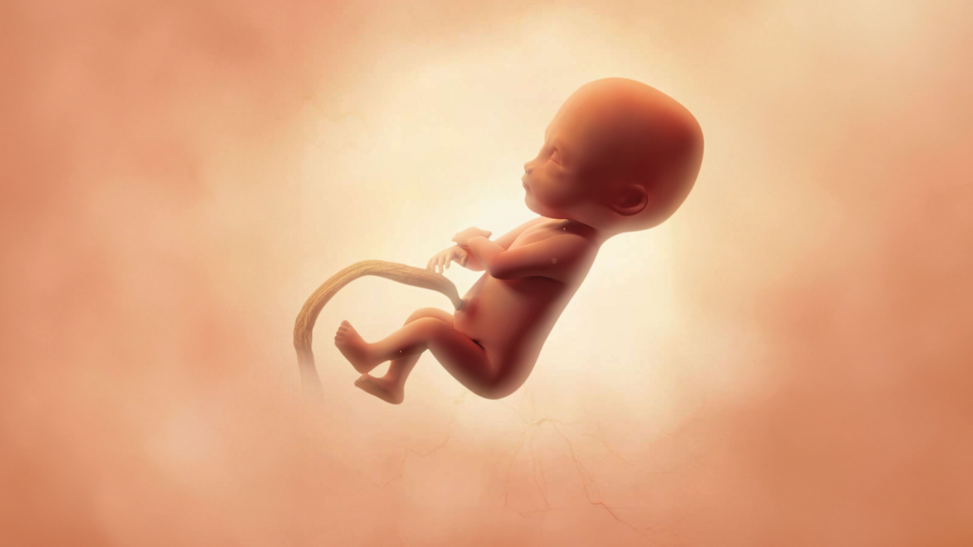 Semaine 27 d’aménorrhée : entrée dans le troisième trimestre